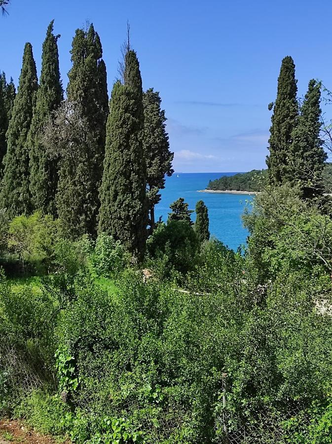 Mobile Home More Porton Nature Hideouts Rovinj Exterior photo