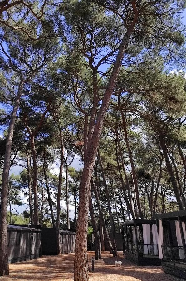 Mobile Home More Porton Nature Hideouts Rovinj Exterior photo