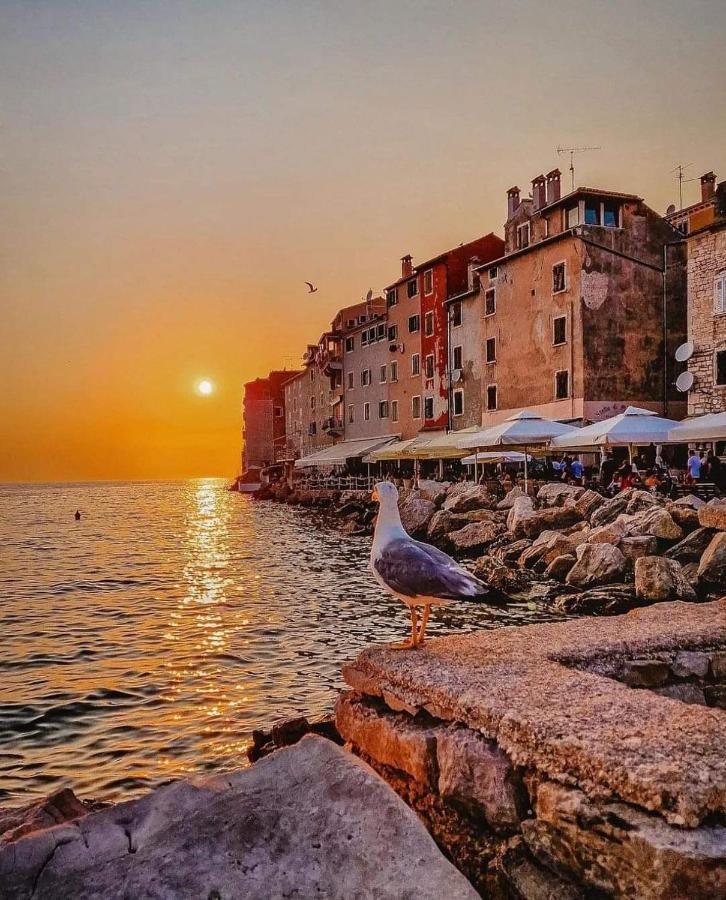 Mobile Home More Porton Nature Hideouts Rovinj Exterior photo